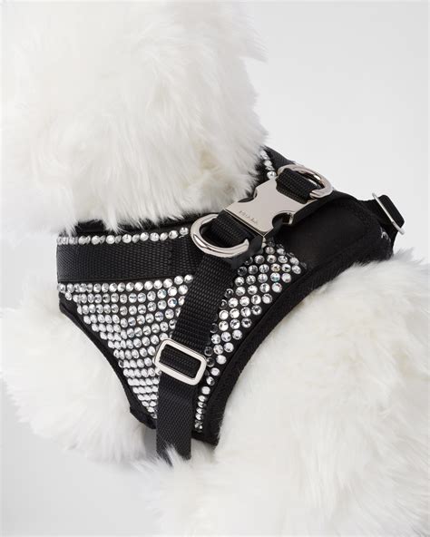 prada pet kopen|Prada pet accessories.